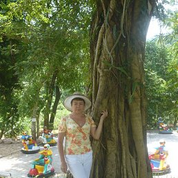 �����, �����������, 62 ����