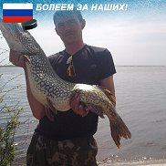 , 37 , 