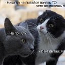 ���� ����, ������, 74 ���� - ��������� 2 ���� 2016 � ������ ���� ����������