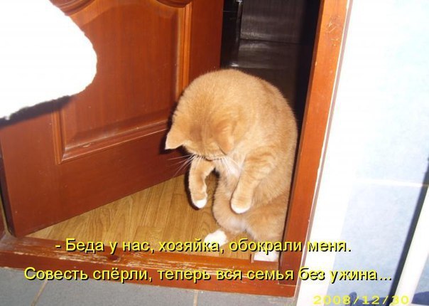  -  - 22  2016  20:31