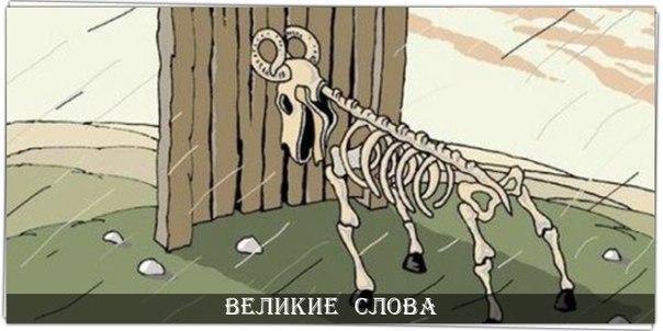     ,   .   