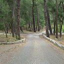 ���� �������, ������, 45 ��� - ��������� 22 ����� 2016