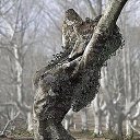 ���� ������, ������������ - ��������� 12 ��� 2016 � ������ ������ ��������