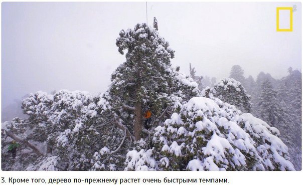 ����� ������� ��� ������ �������, ���������� ������������ 32 ��� - 3