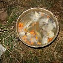 ���� ��������, ������, 61 ��� - ��������� 3 �������� 2016 � ������ ���� ����������