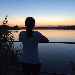 ���� �����, ���������, 44 ���� - ��������� 20 ������� 2016