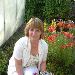 , 58, 