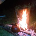 ���� ����������, �������������, 47 ��� - ��������� 5 �������� 2016 � ������ ������ ��������