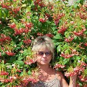 ���� Alina, ������, 56 ��� - ��������� 31 ������� 2016 � ������ �����