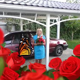 ���� ������, �������, 71 ��� - ��������� 18 ������ 2016