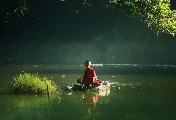 . ,         ,     ...