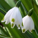 ���� ��������� ���������, ��������� - ��������� 16 ����� 2016 � ������ ���� ����������