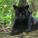 ���� �����, ������, 58 ��� - ��������� 13 ���� 2016