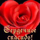 ���� ������, ����� - ��������� 13 ��� 2016 � ������ ������ ��������