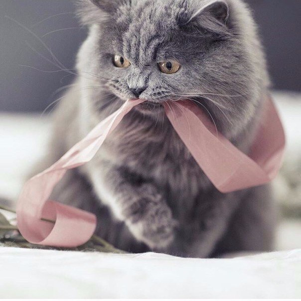       - 28  2016  04:30 - 2