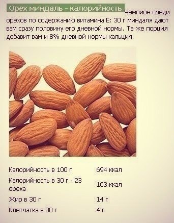 Орехи. Калорийность и полезные свойства. - 6