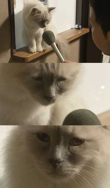 -    ? ,  -?