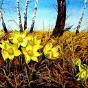  ,  -  15  2016    13    \