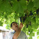 ���� ������, ���������� ����� - ��������� 31 ���� 2016 � ������ ���� ����������