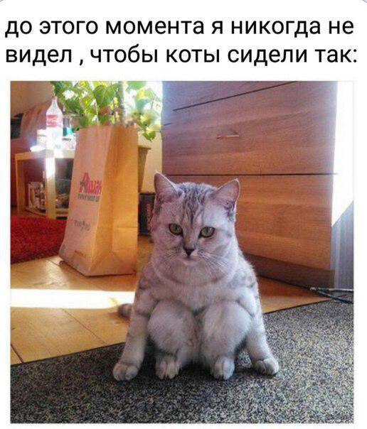 ? ,  ! - 23  2016  21:59