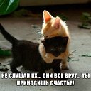 ���� ������, ������, 44 ���� - ��������� 8 �������� 2016 � ������ ������ ��������