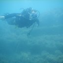 ���� ��������, ���������, 46 ��� - ��������� 13 ������� 2016 � ������ ���� ����������