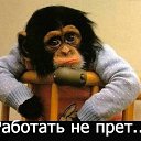 ���� ���������, ������ - ��������� 23 ������ 2016 � ������ ������ ��������