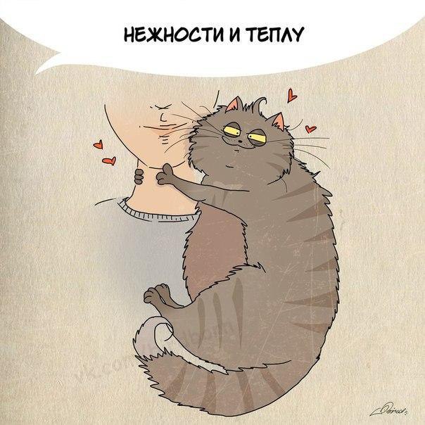     :
