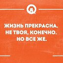 ���� ������, ������ - ��������� 3 ��� 2016 � ������ ���� ����������