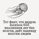 ���� (((((�))))), ���������, 53 ���� - ��������� 15 ����� 2016 � ������ ������ ��������