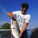 ���� �������, ������, 52 ���� - ��������� 20 ��� 2016 � ������ ���� ����������