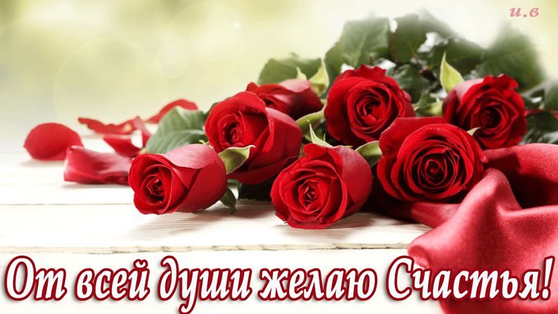 Я желаю Вам каждому счастья!!! Всем тепла, доброты и любви... И красивого дня... ведь прекрасно ...