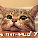 ���� ���������, ����������, 48 ��� - ��������� 22 ��� 2016 � ������ �������� ��������