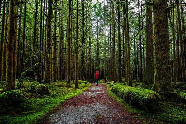 ��� � ���������� ��������