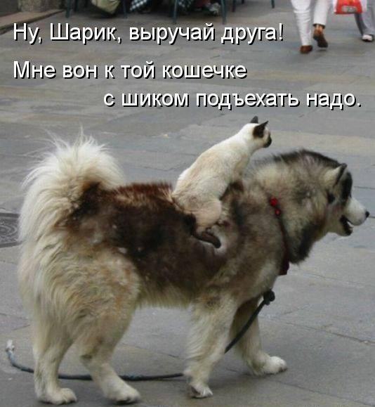:)