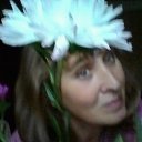 ���� ��������, ������ ��������, 61 ��� - ��������� 7 �������� 2016 � ������ ���� ����������