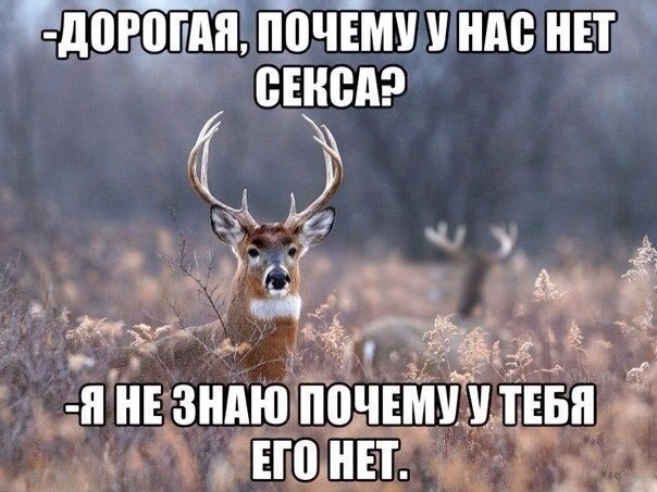 ...  .. - 9  2016  13:08