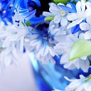 ���� ����, ������, 39 ��� - ��������� 21 ����� 2016 � ������ ������ ��������