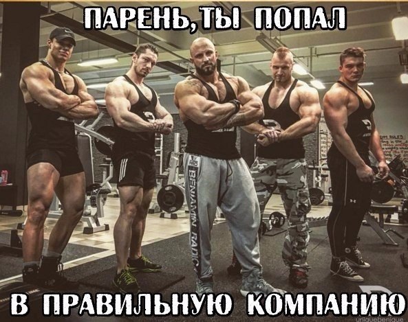  -   - 3  2016  17:46