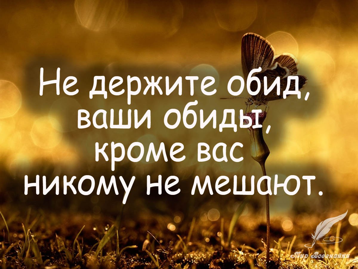        ,      - <a href=