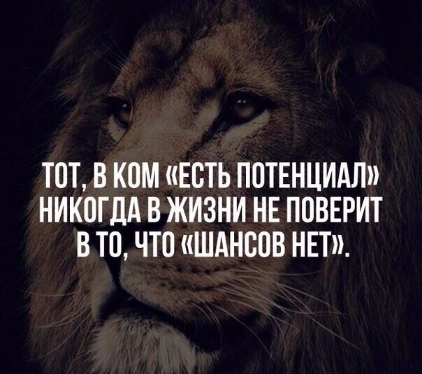  -   - 11  2016  01:55