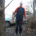 ���� ������, �����������, 49 ��� - ��������� 17 ����� 2016 � ������ ���� ����������