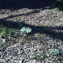 �����������. �� ������� ���� ����������