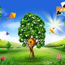  , -, 52  -  22  2016    -