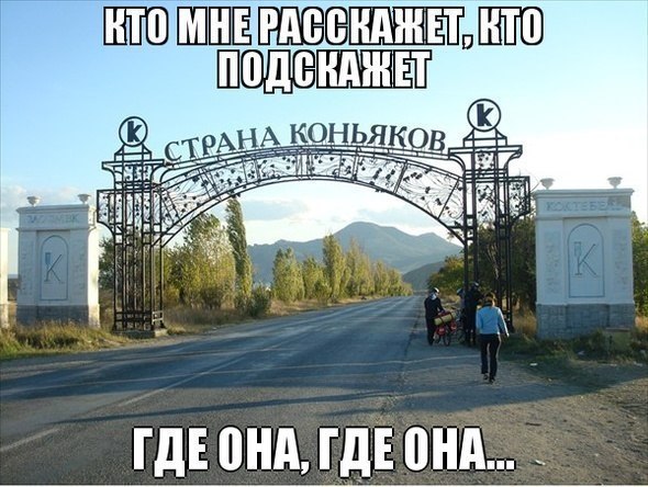   - 11  2016  23:07
