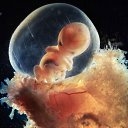 ���� ������, �����������, 50 ��� - ��������� 23 ����� 2016 � ������ ���� ����������