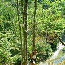  ,  , 40  -  27  2016    