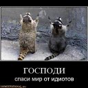 ���� ���������, �������, 51 ��� - ��������� 6 ������ 2016 � ������ ������ ��������