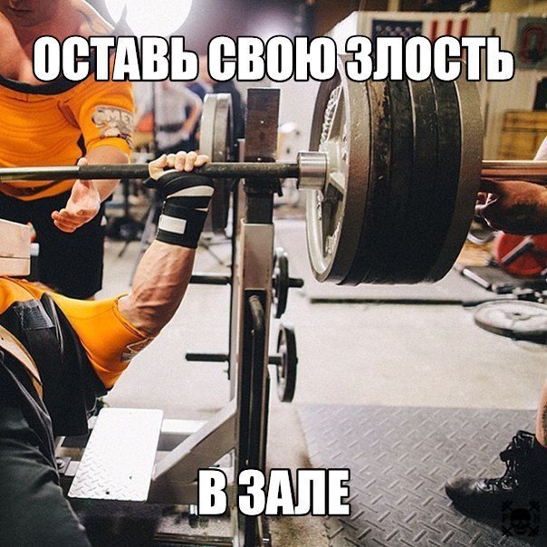  -   - 28  2016  04:05
