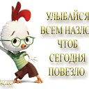 ���� ����������., ������ ��������, 44 ���� - ��������� 24 ����� 2016